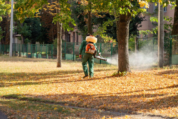 Best Best Pest Control Companies  in Loma Ri, CA